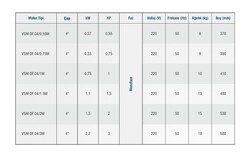 Vansan MC1004/M0150 4" Derin Kuyu Dalgıç Pompa Motoru - 2