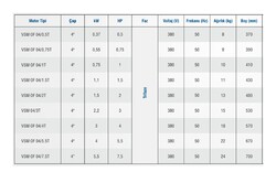 Vansan MC1004/T0550 4" Derin Kuyu Dalgıç Pompa Motoru - 2